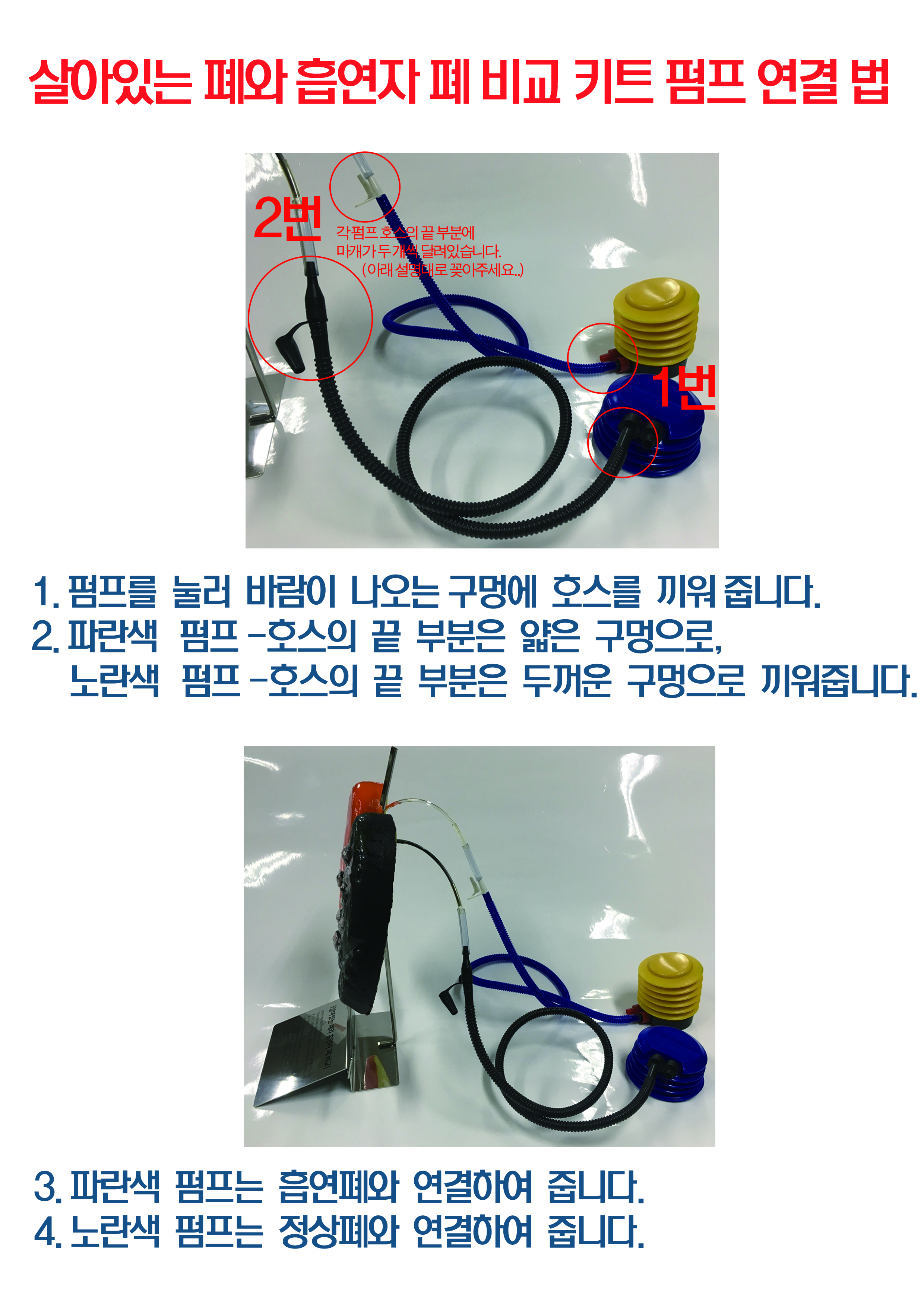 살아있는폐비교키트 펌프연결.jpg