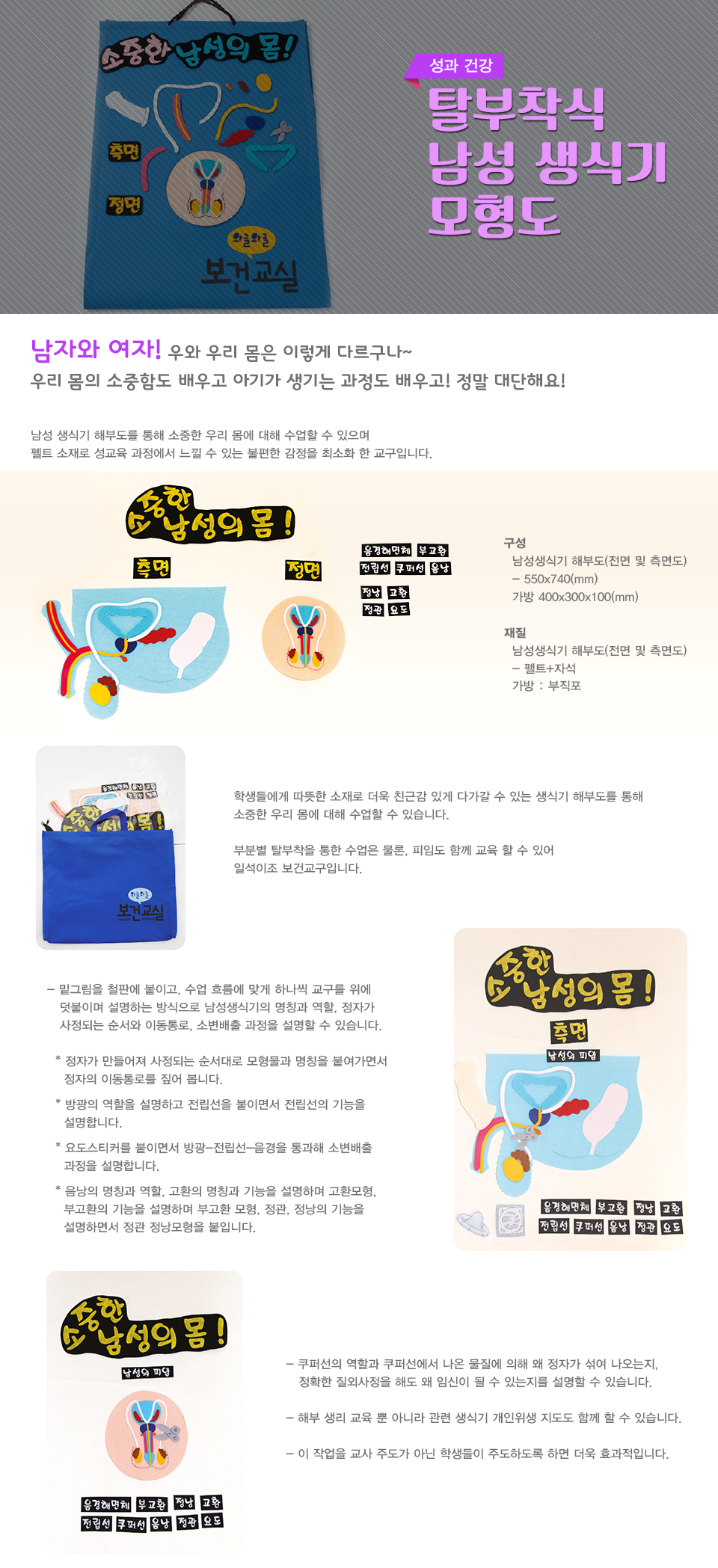 탈부착식남성생식기모형도.png