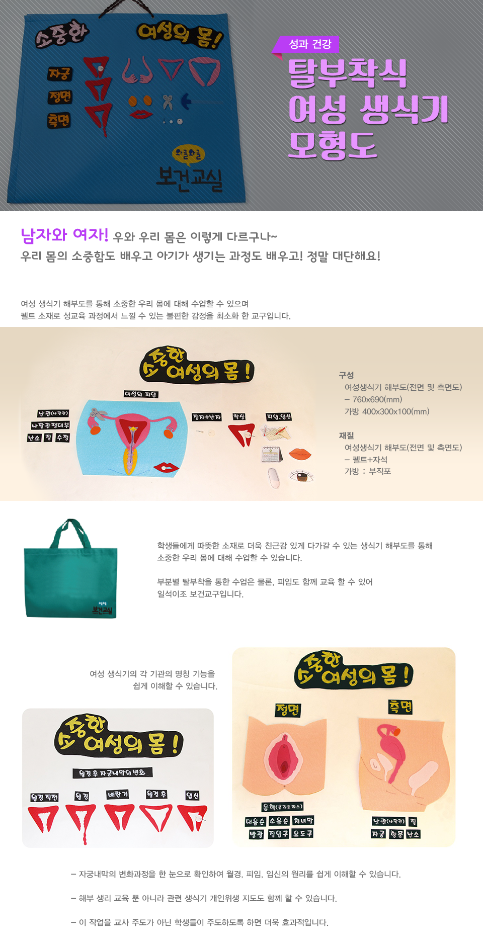 탈부착식여성생식기모형도.png