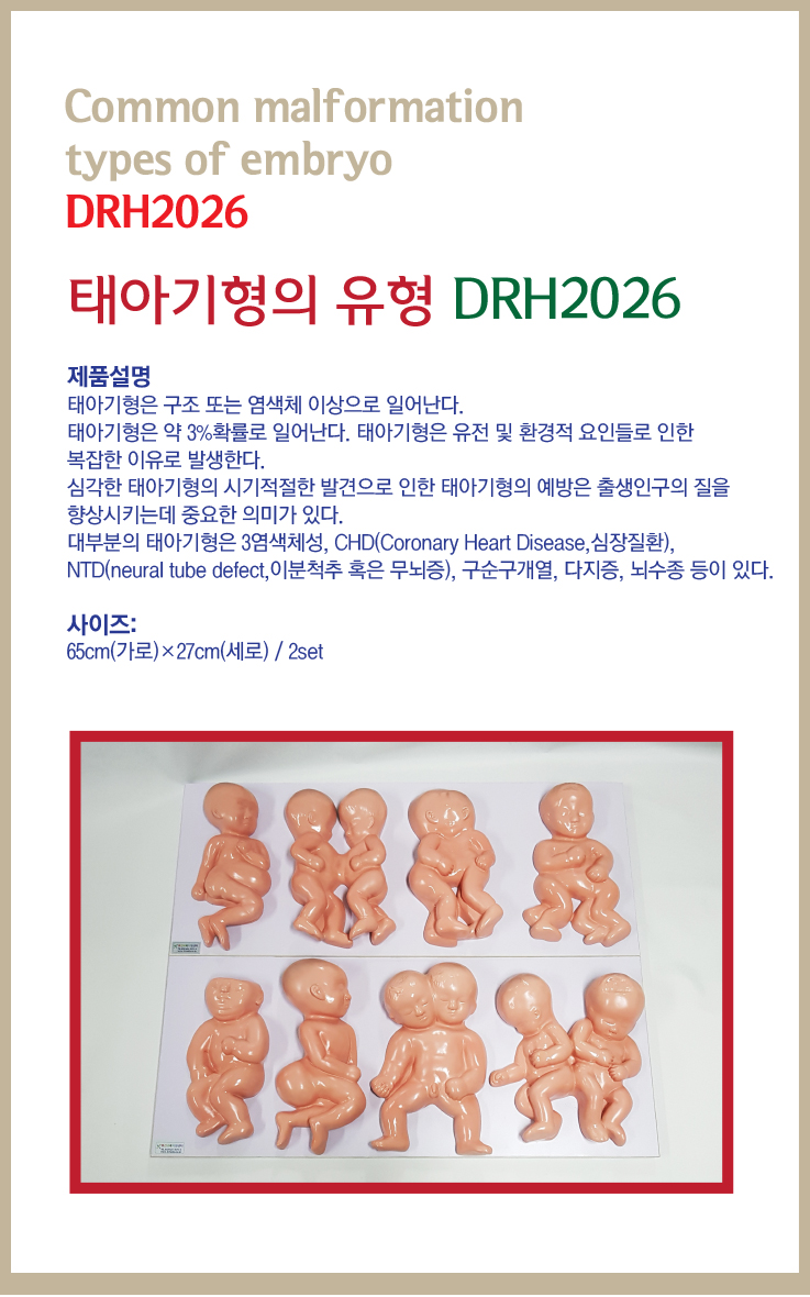 2026.jpg