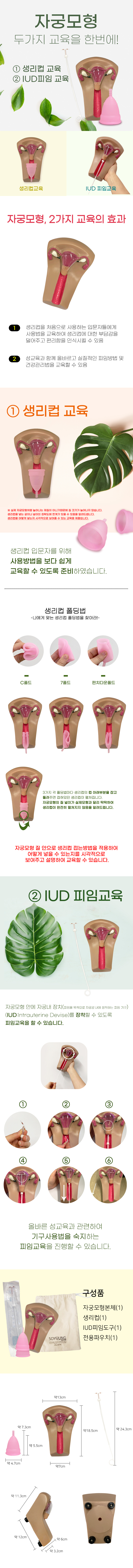 자궁모형 상세페이지.jpg