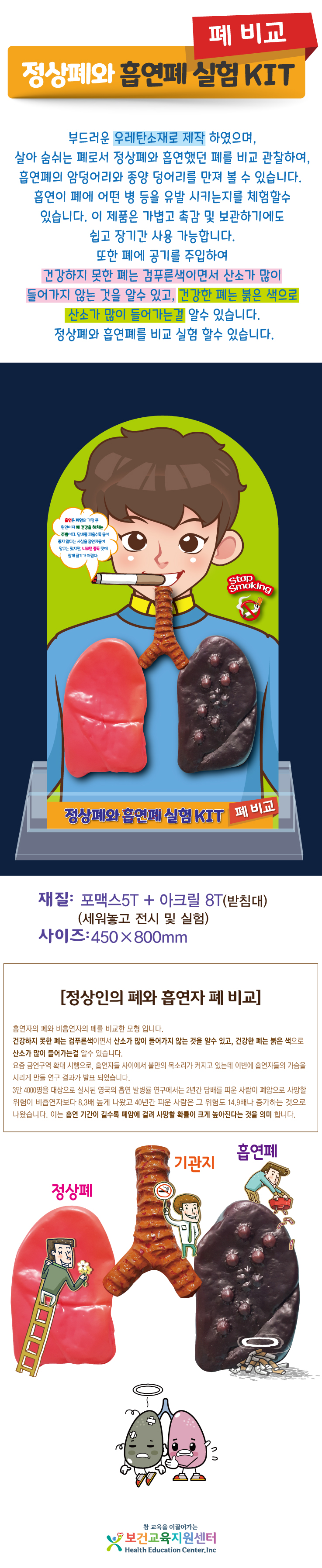 3-884살아있는-폐-아크릴대형상세페이지.jpg