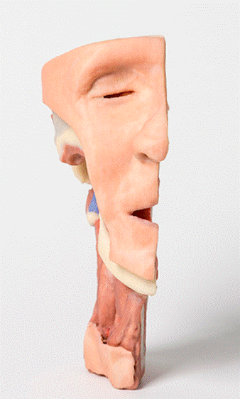 14.png