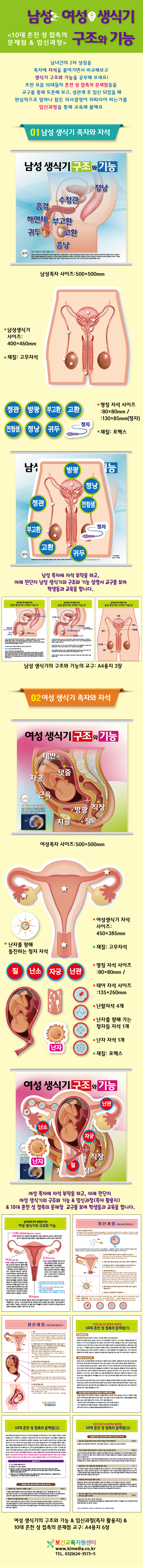 남성여성생식기구조-족자상세.jpg