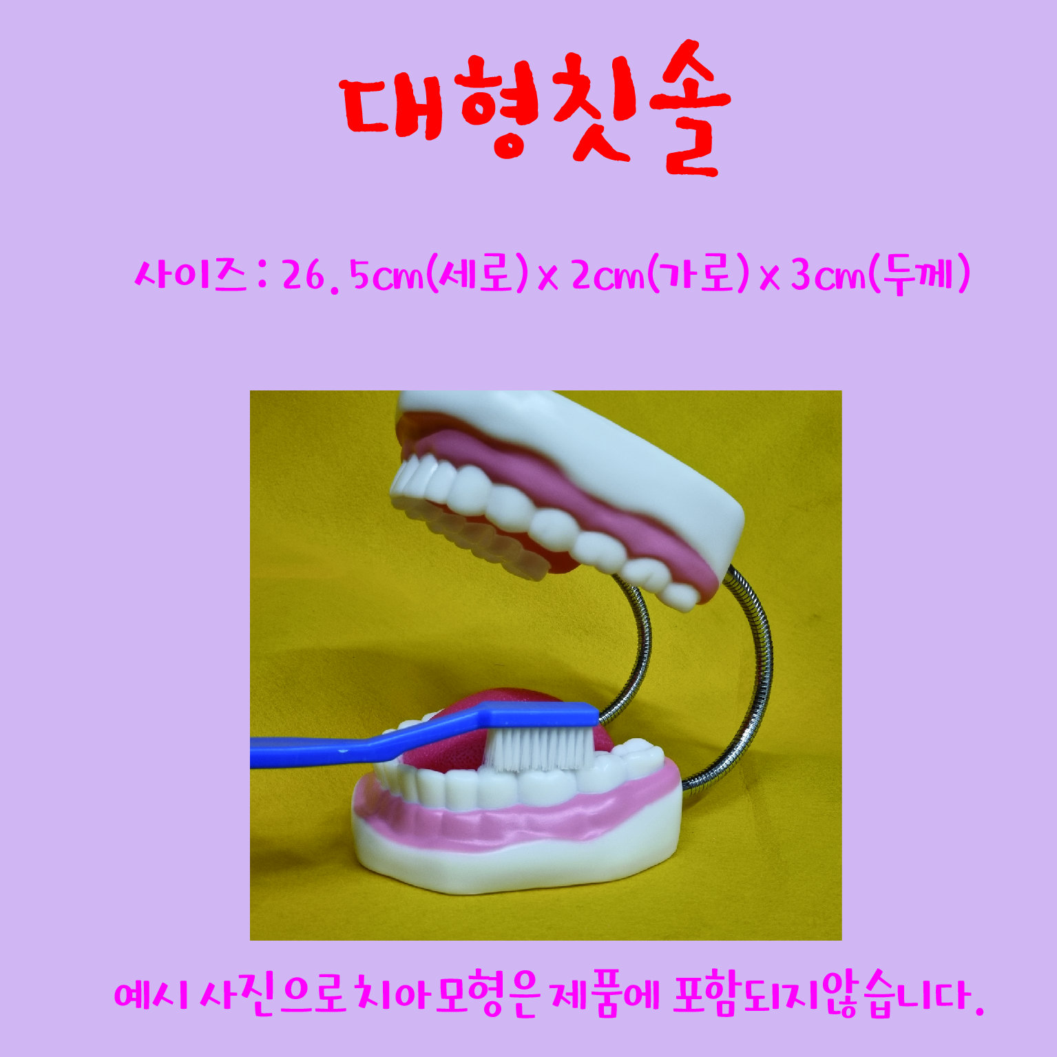 대형칫솔 상세페이지-01.jpg