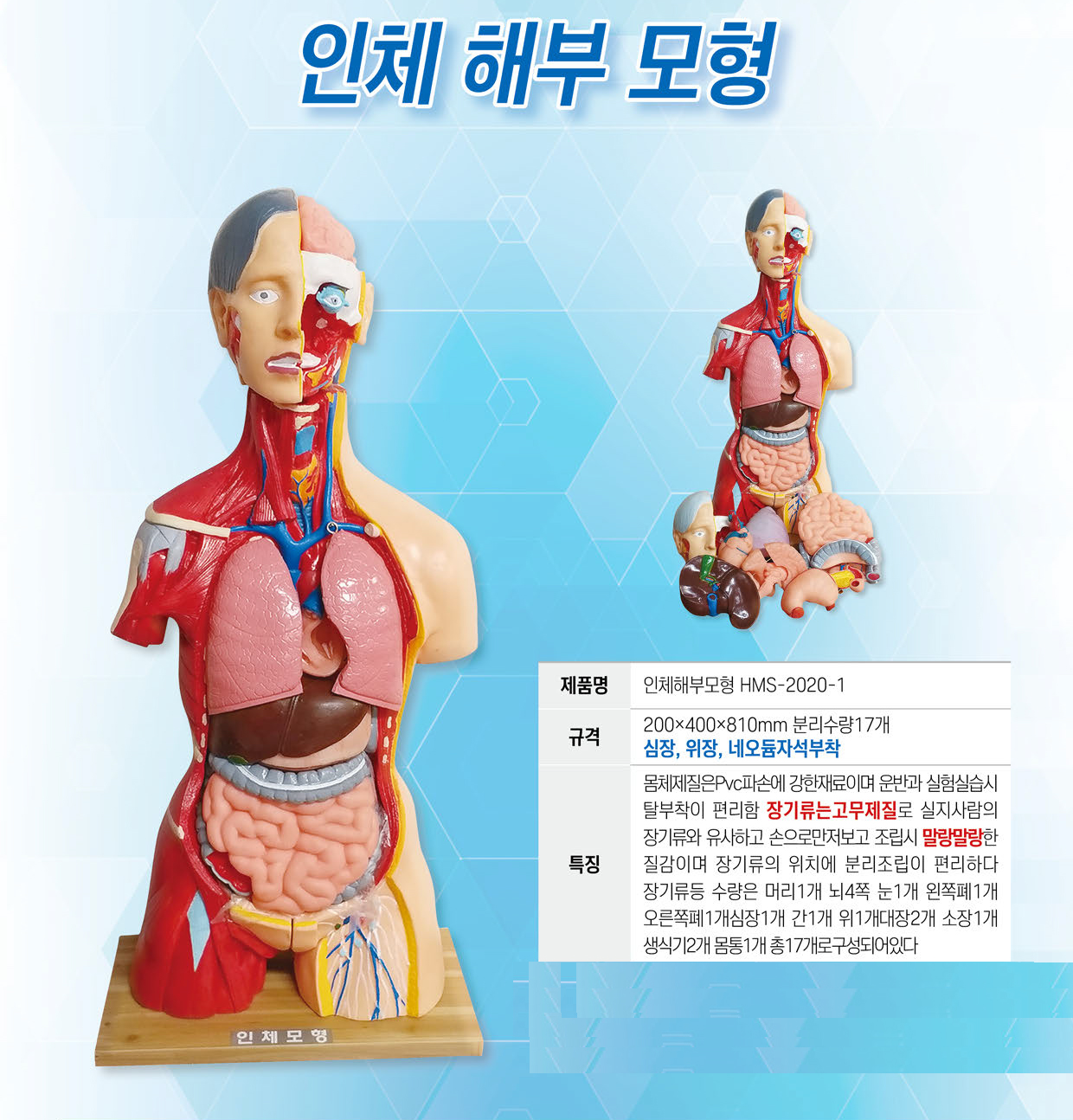 25년조달인체(전신-반전신)저용량-1(상세).jpg
