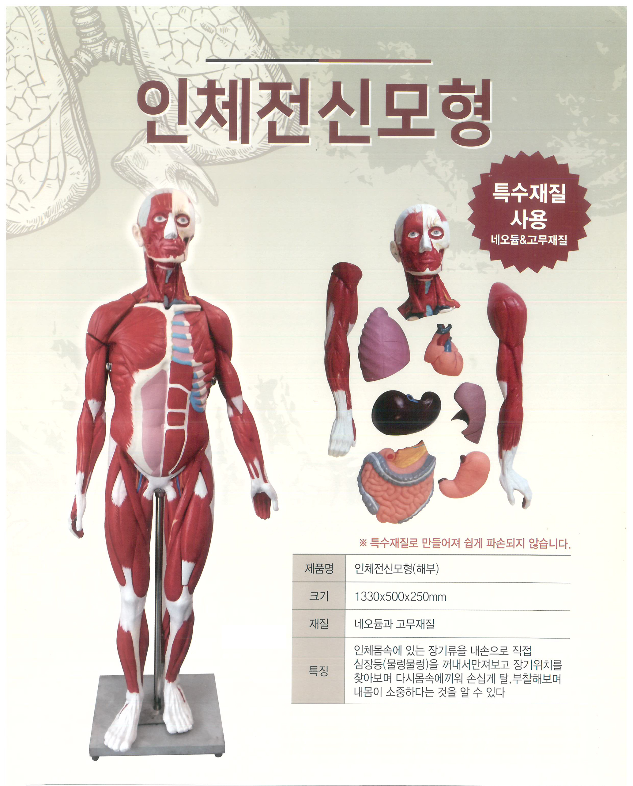 3인체전신모형  업자 95만눵메인.jpg