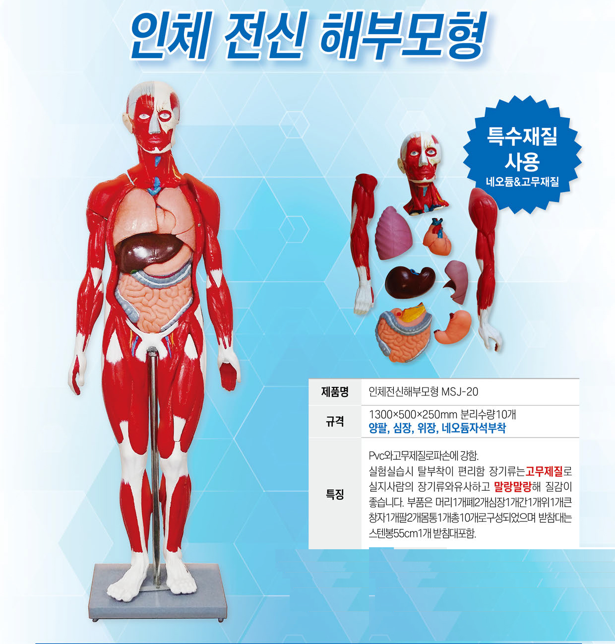 25년조달인체(전신-반전신)저용량-2(상세).jpg
